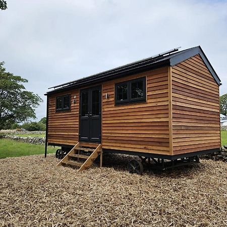 Woodland Shepherds Hut - 'Saga' Caernarfon Zewnętrze zdjęcie