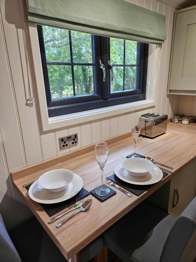 Woodland Shepherds Hut - 'Saga' Caernarfon Zewnętrze zdjęcie