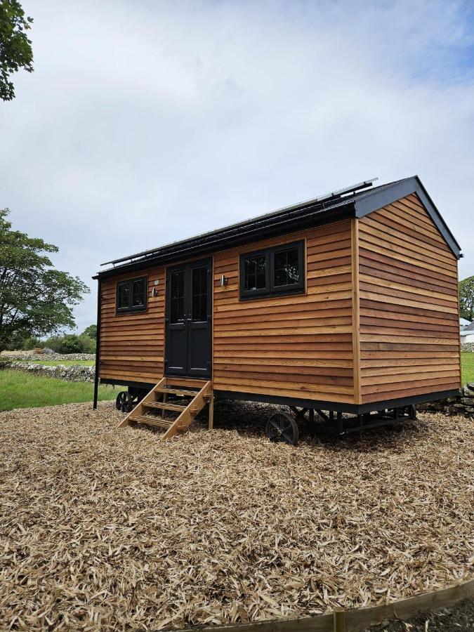 Woodland Shepherds Hut - 'Saga' Caernarfon Zewnętrze zdjęcie
