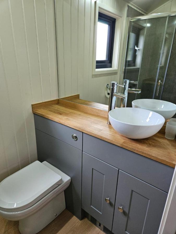 Woodland Shepherds Hut - 'Saga' Caernarfon Zewnętrze zdjęcie
