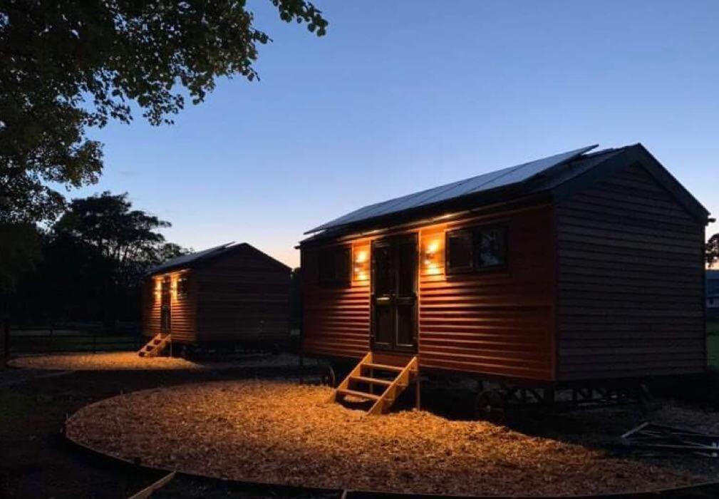 Woodland Shepherds Hut - 'Saga' Caernarfon Zewnętrze zdjęcie